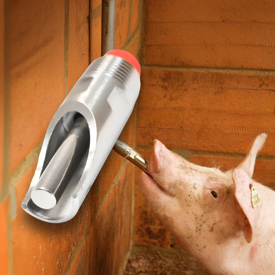 Suzeta din inox adapare porci 1/2