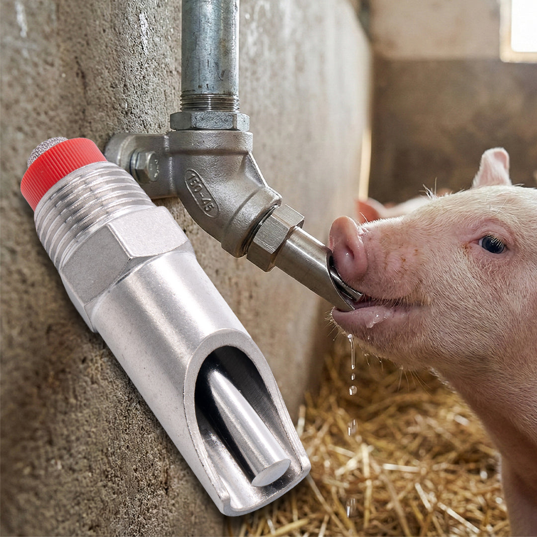Suzeta mare din inox pentru adăpare porci 1/2” – NEXON FARM