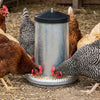 Hrănitoare din metal 25L pentru pui și găini