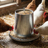 Hrănitoare din metal 5L pentru pui și găini