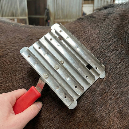 Tesală metalic pentru cai – 9,5 × 14,5 cm, 2 plăcuțe