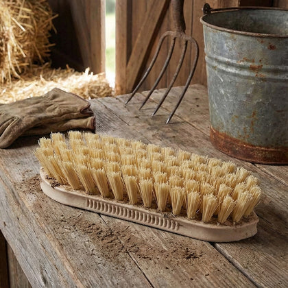 Perie de curățat 22 cm – plastic, 60 °C