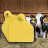 Crotalii bovine Maxi + Maxi (20 buc) galben