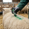 Creion verde pentru marcarea animalelor RAIDEX