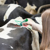 Creion verde pentru marcarea animalelor TopMarker