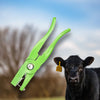 Cleste crotaliere cu cui - verde
