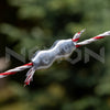 Set conector fir gard electric – 2 mm / 3 mm / 4 mm / 5 mm / 6 mm – NEXON