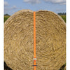Chingă ancorare clichet 6m 50mm 2000kg cârlige J duble