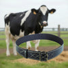 Colier din piele pentru bovine 90x4.7 cm maro