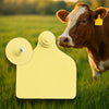 Crotalii bovine Maxi + Button 20 buc galben