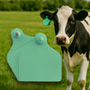 Crotalii bovine Maxi+Maxi 20 buc verde