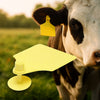 Crotalii pentru bovine galbene 10 buc 64×95 mm
