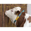 Curea tip marcare animale 120/135cm