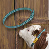 Curea tip marcare animale 120/135cm