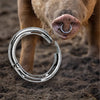 Inele nazale pentru porci – set 10 bucăți