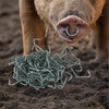 Inele nazale pentru porci set 100 buc