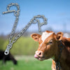 Lanț bovine 70 cm 6 mm cu carabină
