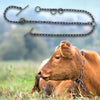 Lanț pentru bovine 2,15 m