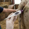 Termometru digital veterinar - rezistent la apă