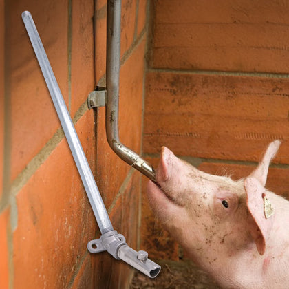 Set adăpător porci 1/2″ – suzetă inox + cot 45° + țeavă zincată 50 cm