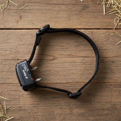 Zgardă suplimentară pentru câine – receptor D-Fence