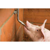Suzeta mare din inox pentru adăpare porci 1/2”