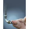 Suzeta mare din inox pentru adăpare porci 3/4”